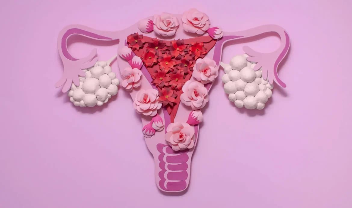Polikistik Over Sendromu (PCOS)